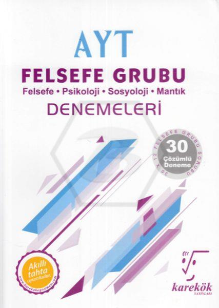 Ayt Felsefe Grubu Denemeleri
