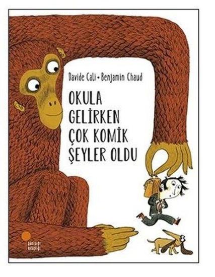 Öykü Dizisi