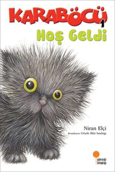 Öykü Dizisi